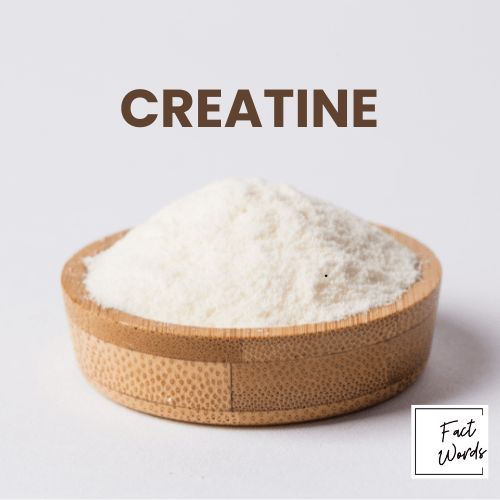 Creatine and Protein Powder