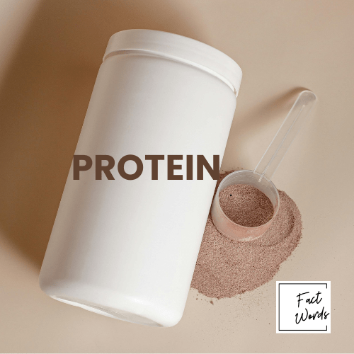 Creatine and Protein Powder